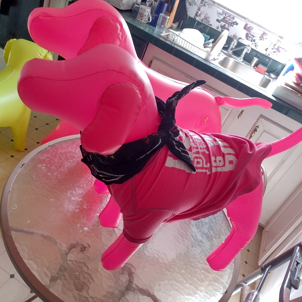 2 small blow up dogs one has pink pup shirt on